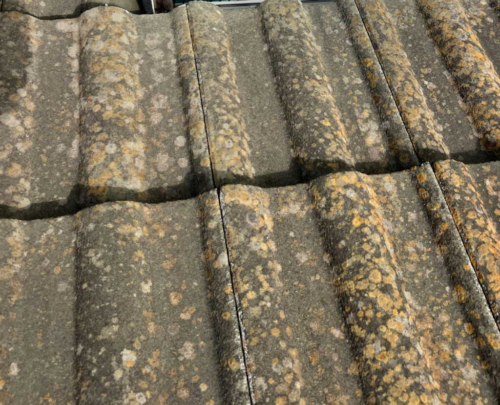 セメント瓦の劣化とコケ